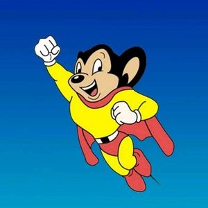 Meet your Posher, Bruce